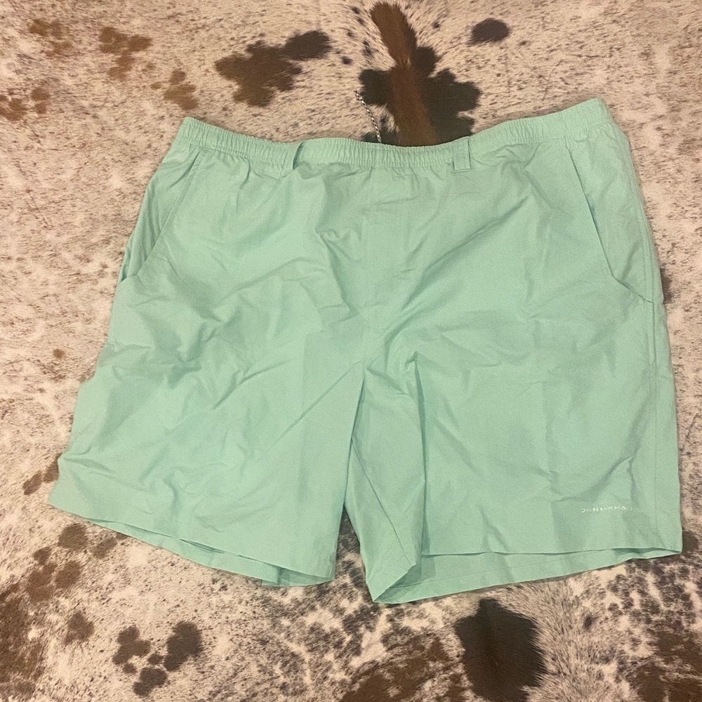 Men's Light Green Shorts